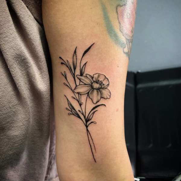 Screenshot_20240223-202142~2